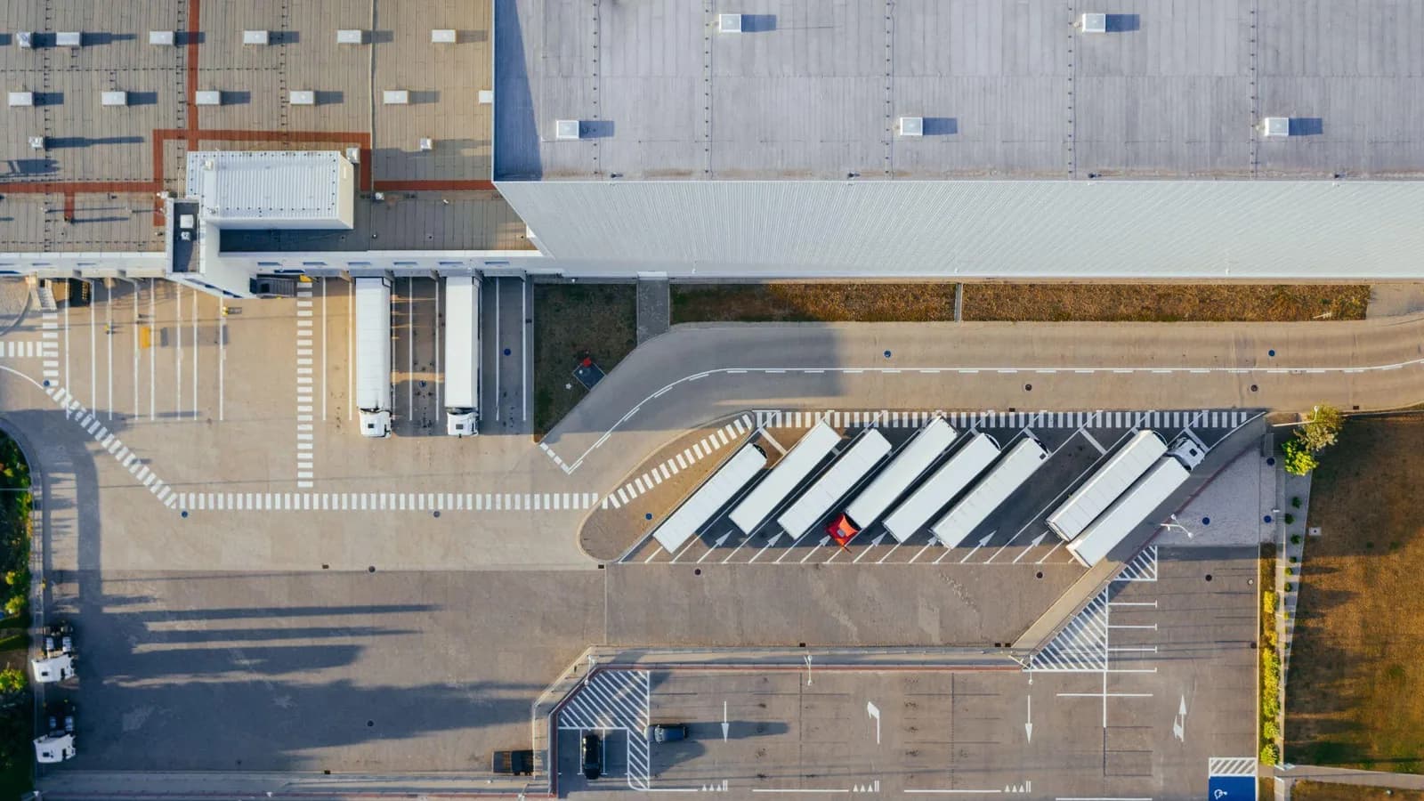 Ce înseamnă un depozit clasa A pentru logistică și ce presupune autorizarea sanitar-veterinară